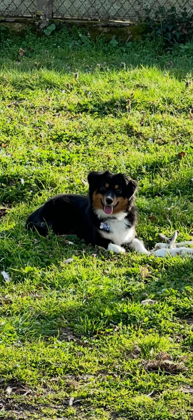 U'Nia Shining Fairy (Sans Affixe)